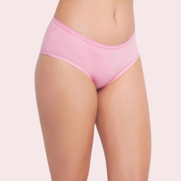 48 Pack of Womens Panties in Wholesale