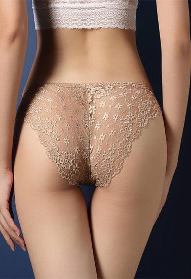 Ladies Best Transparent Lace Hipster Brief Pk Of 2 - Purely Femme